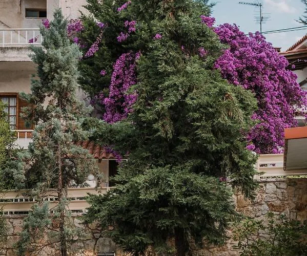 Hb Modern Appartement Tolón